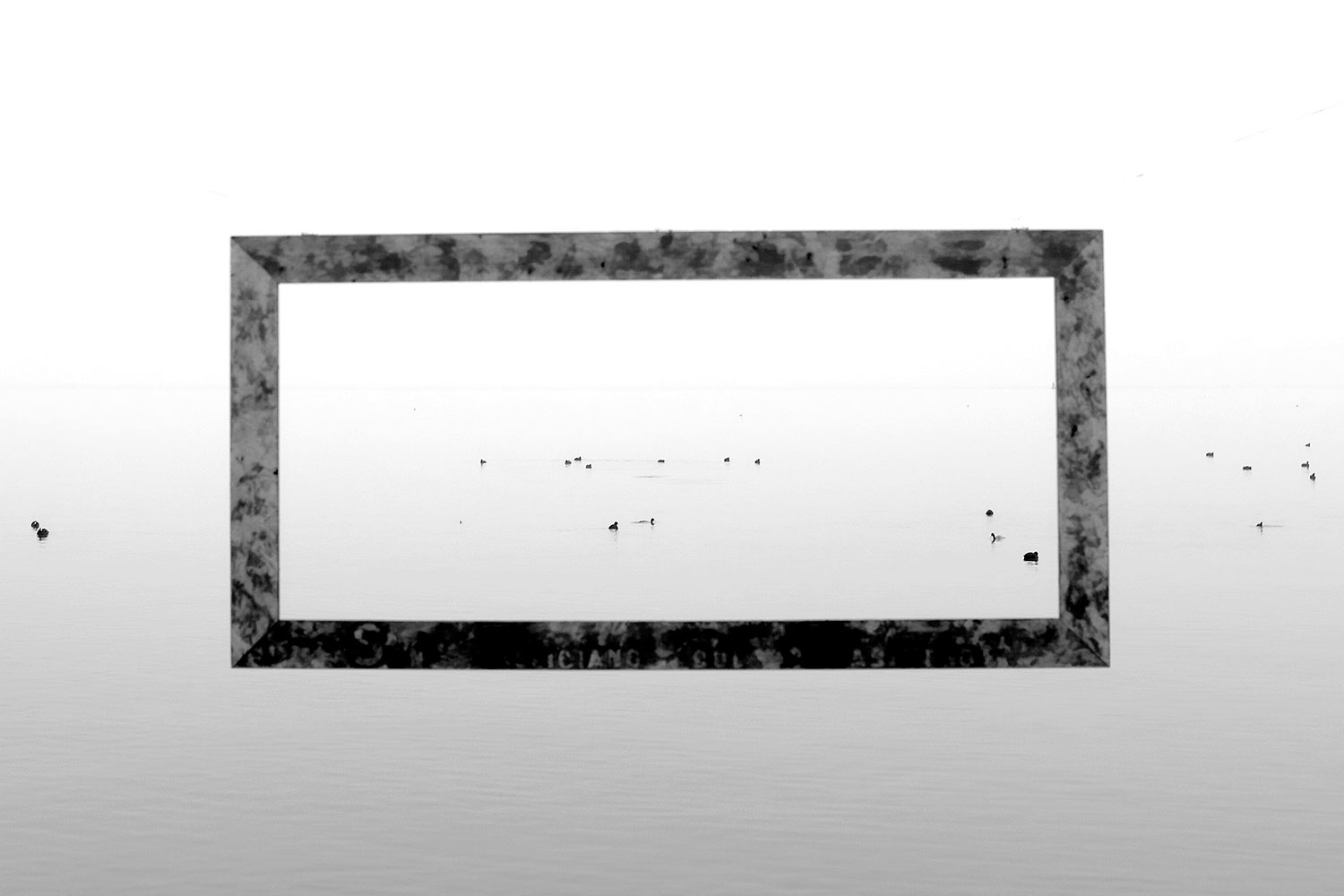 impressioni di novembre ........