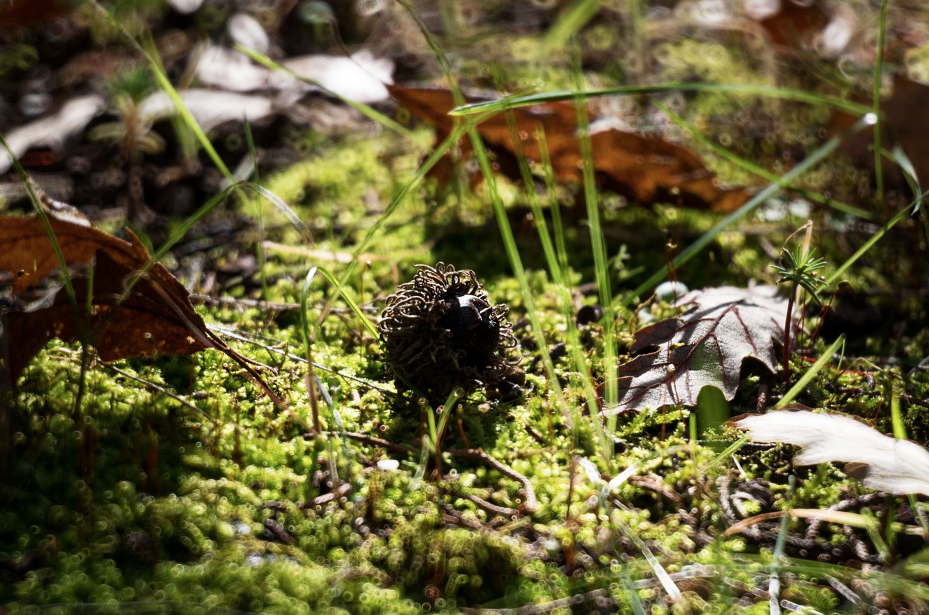 E' arrivato l'inverno