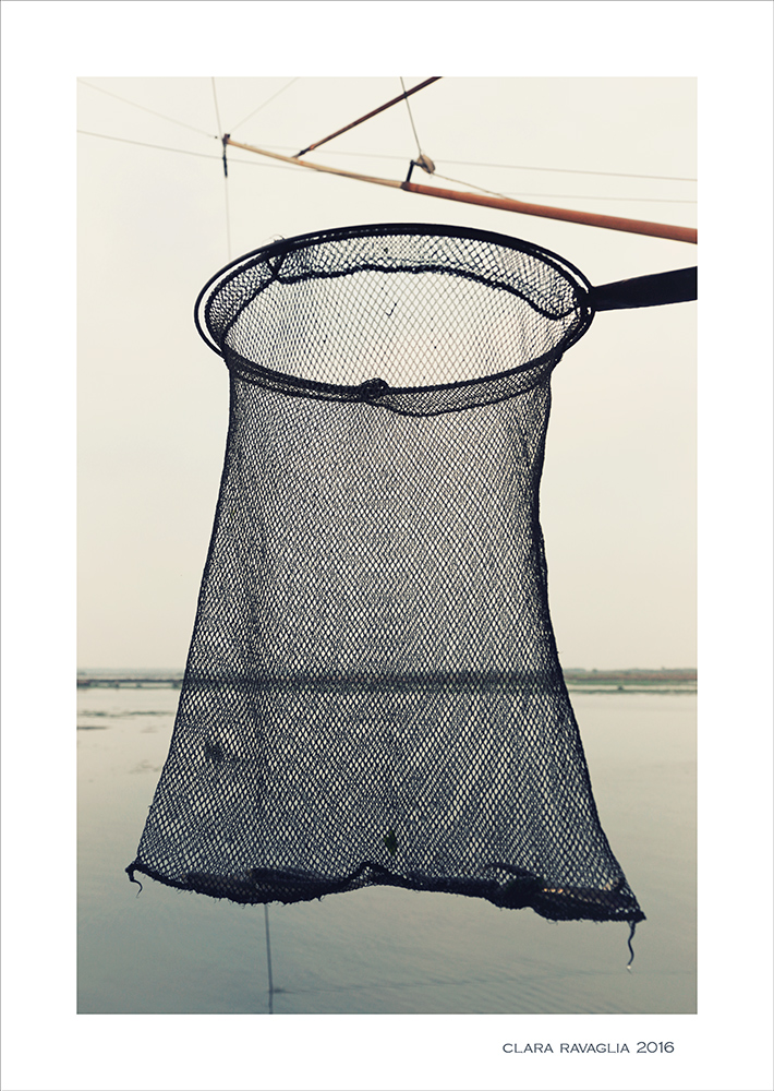 Il nemico.. dei pesci