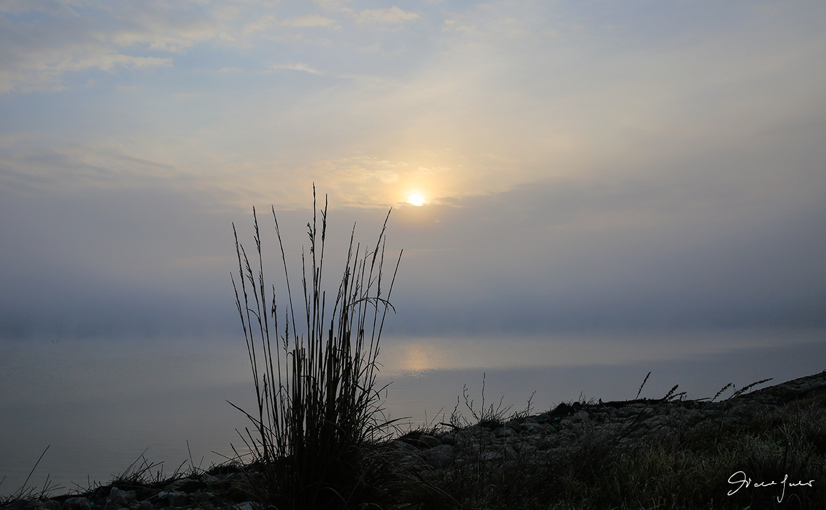 Prime luci del mattino e nebbia sul delta del Po 2