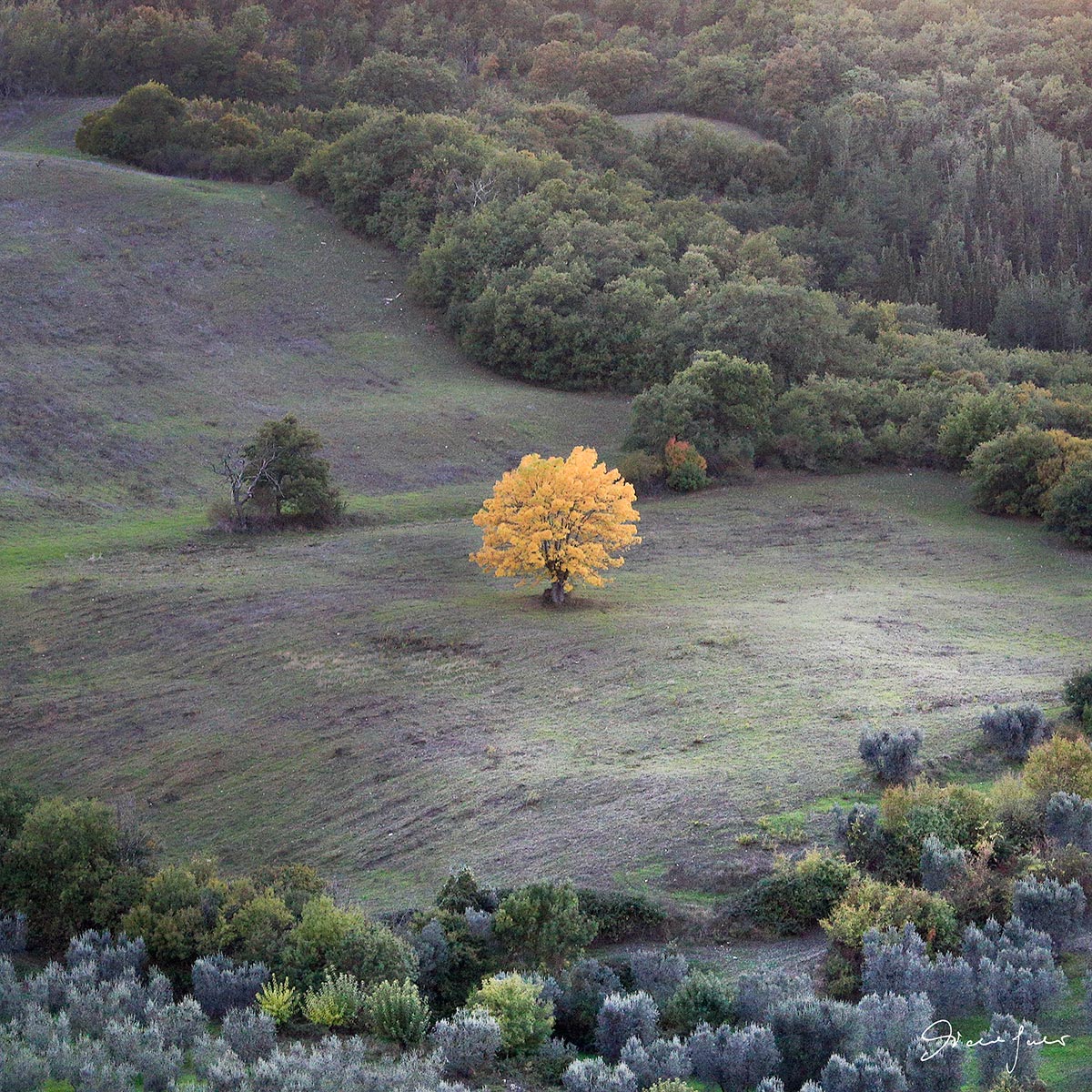 Solitario - Val d' Orcia (Si)