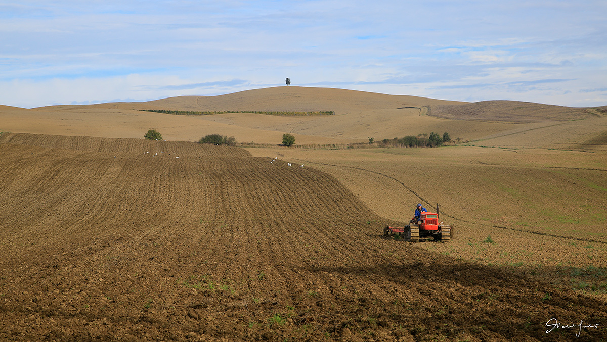 Preparazione per la semina - Val d'Orcia (Si)