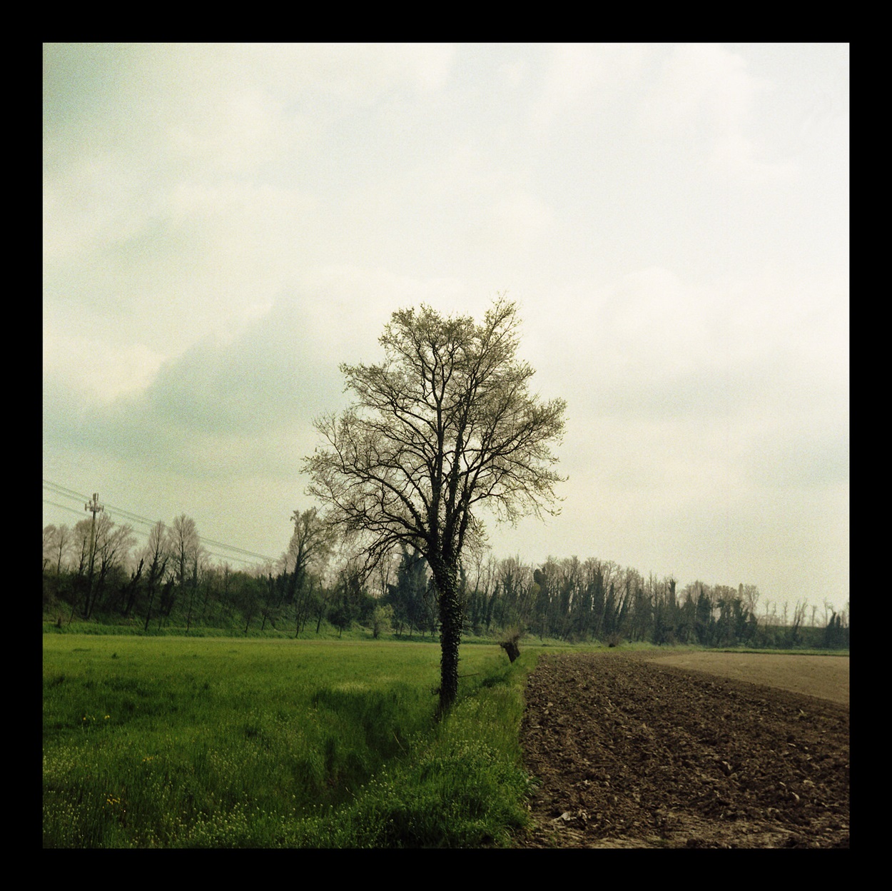 qualche altra primavera da aspettare ancora ;/)