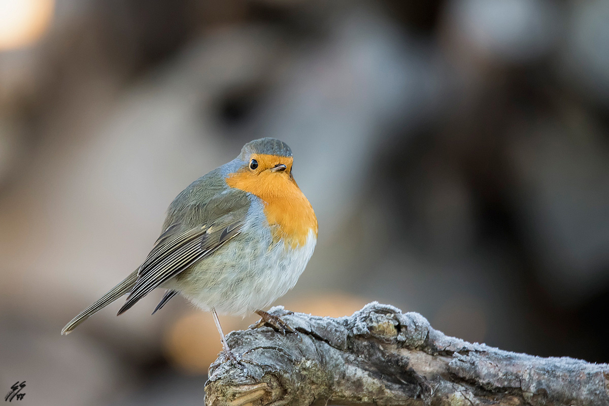 ..brrrr che freddo!!!!...