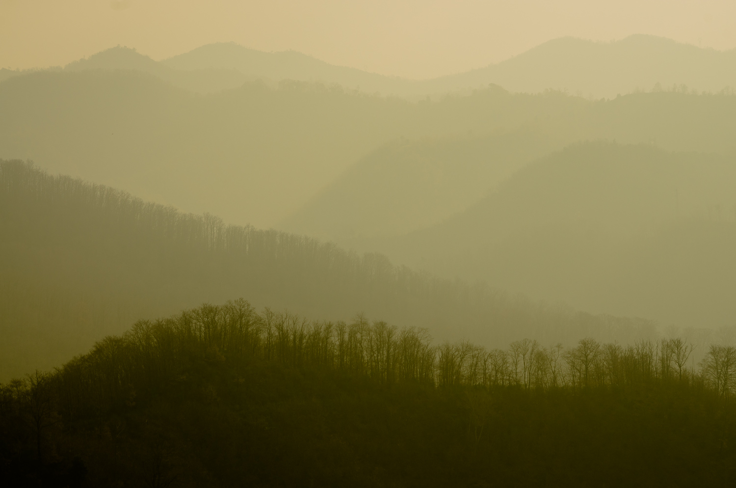Colline tra la foschia