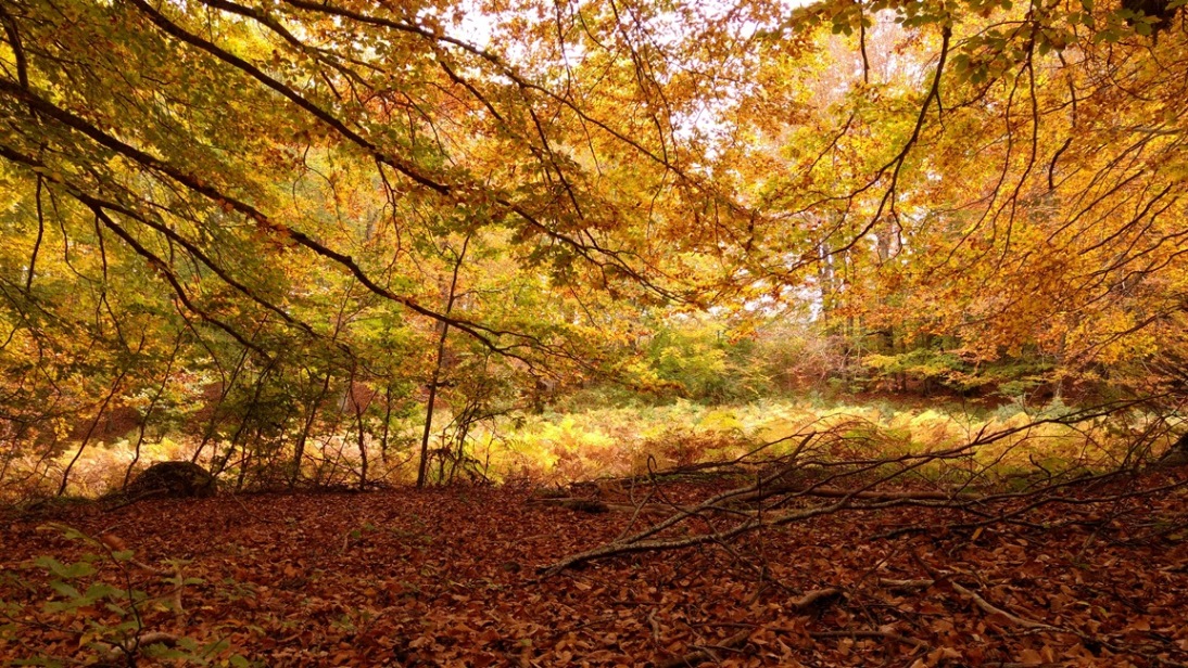 Abbracciami prima di dormire
