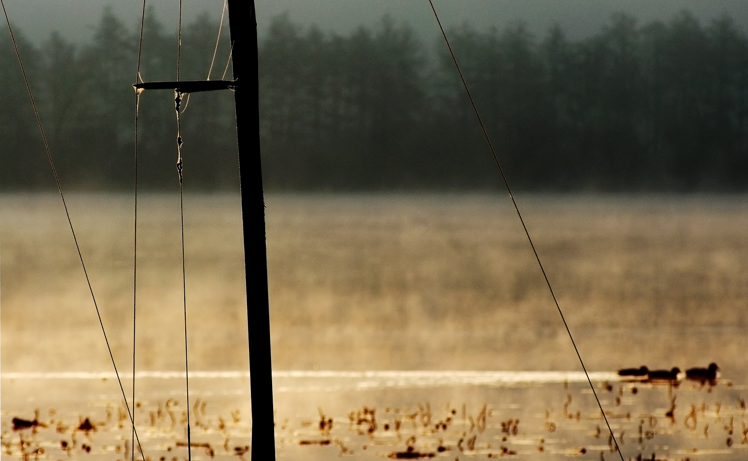 Colli Berici. Lago di Fimon