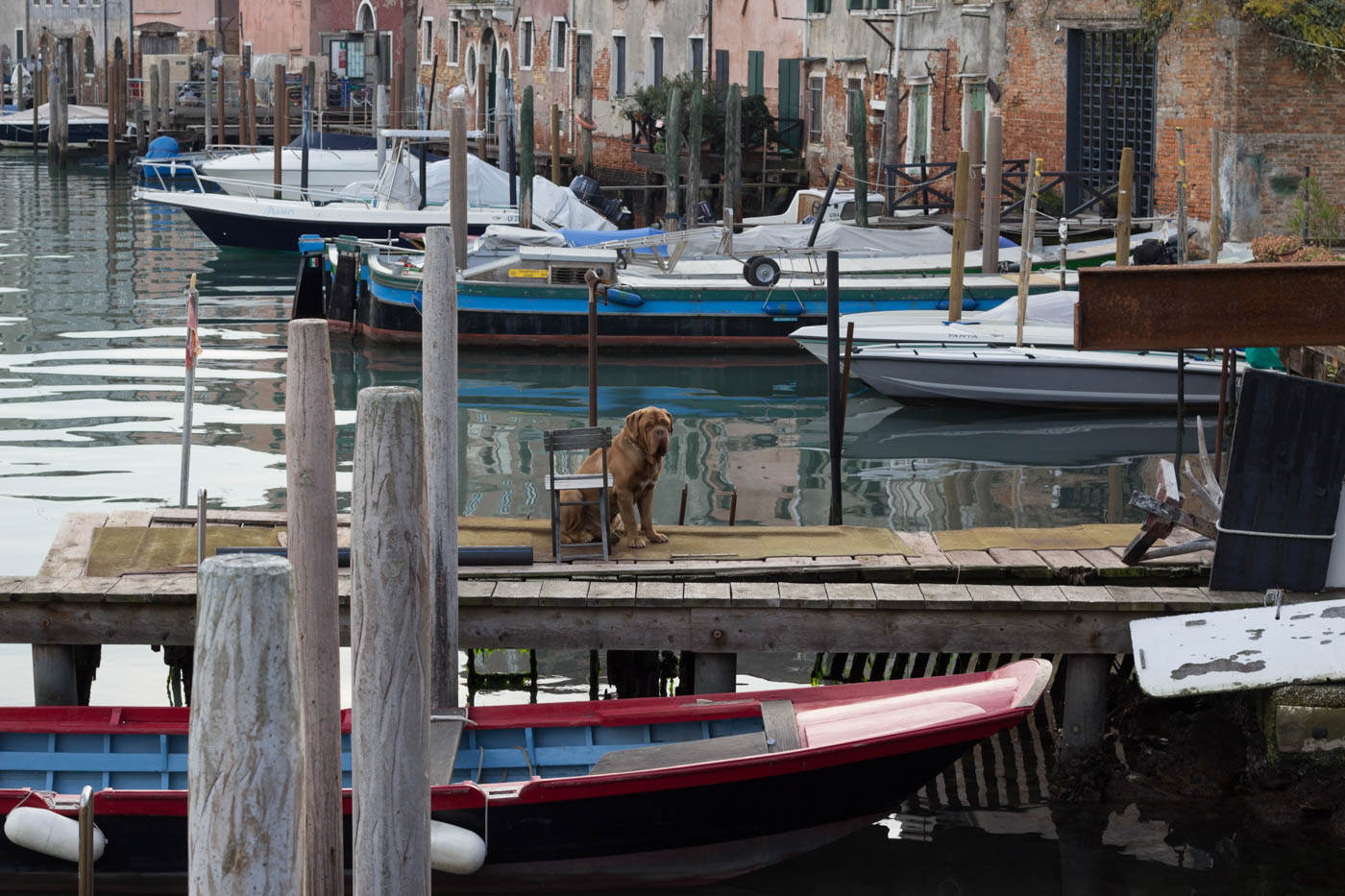 Il miglior antifurto