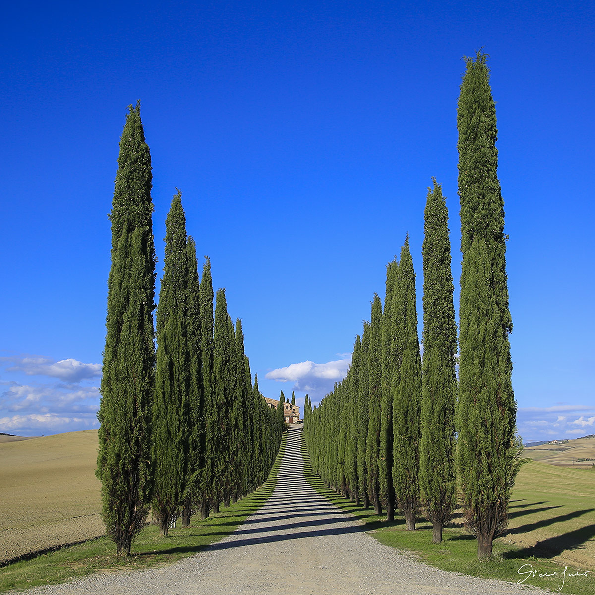 Gradini d'ombra - Val d'Orcia (Si)