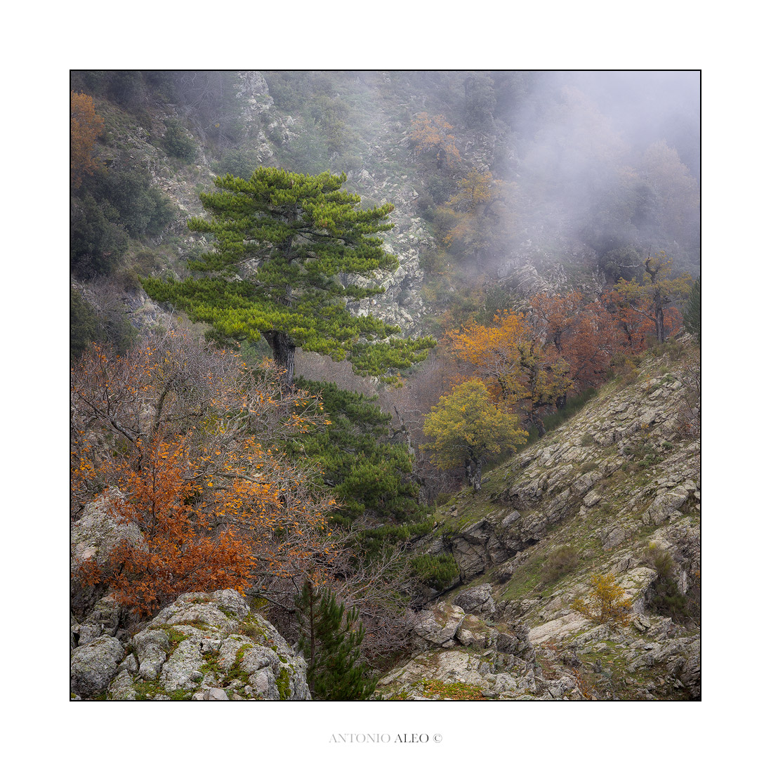 Desiderio contro il tempo