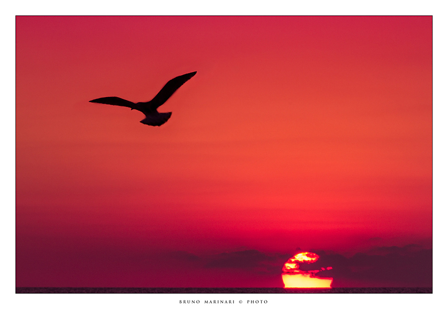 Voli solitari al tramonto