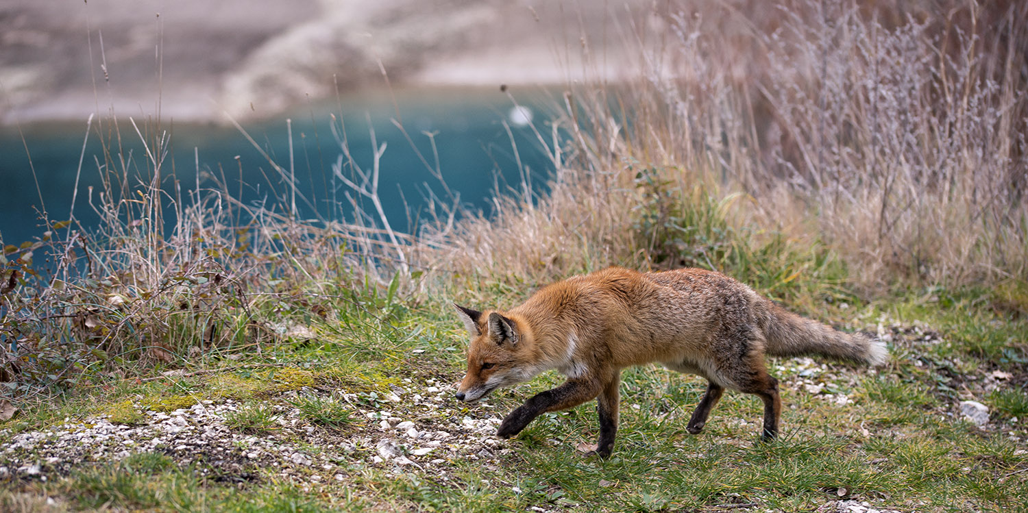 A passeggio sul lago