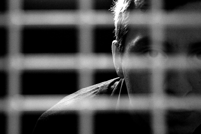 Inquadrature bestiali