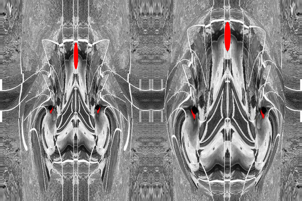 maschere tribali dei guerrieri