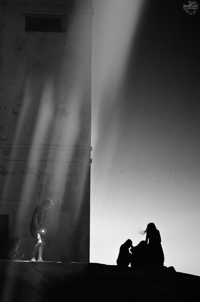 alla ricerca di compagnia