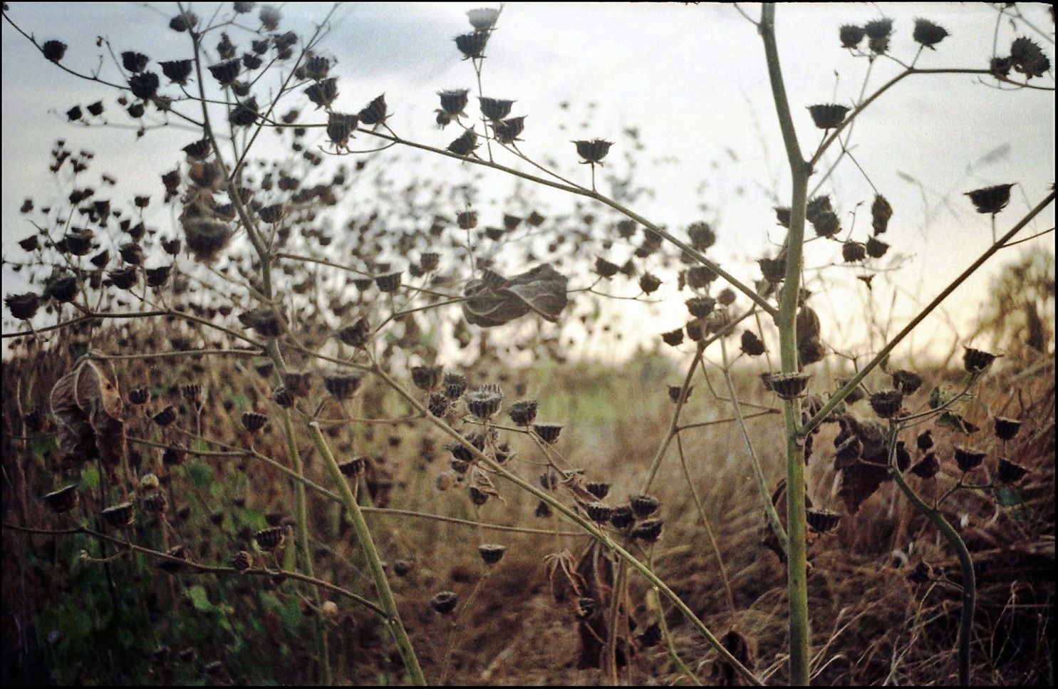 nessuno sa, nessuno mi vede ... ;/)