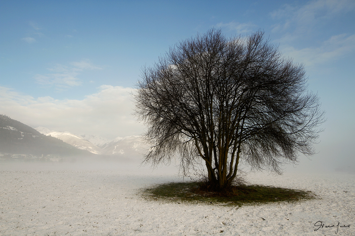 Nei pressi di Falzes (Bz)