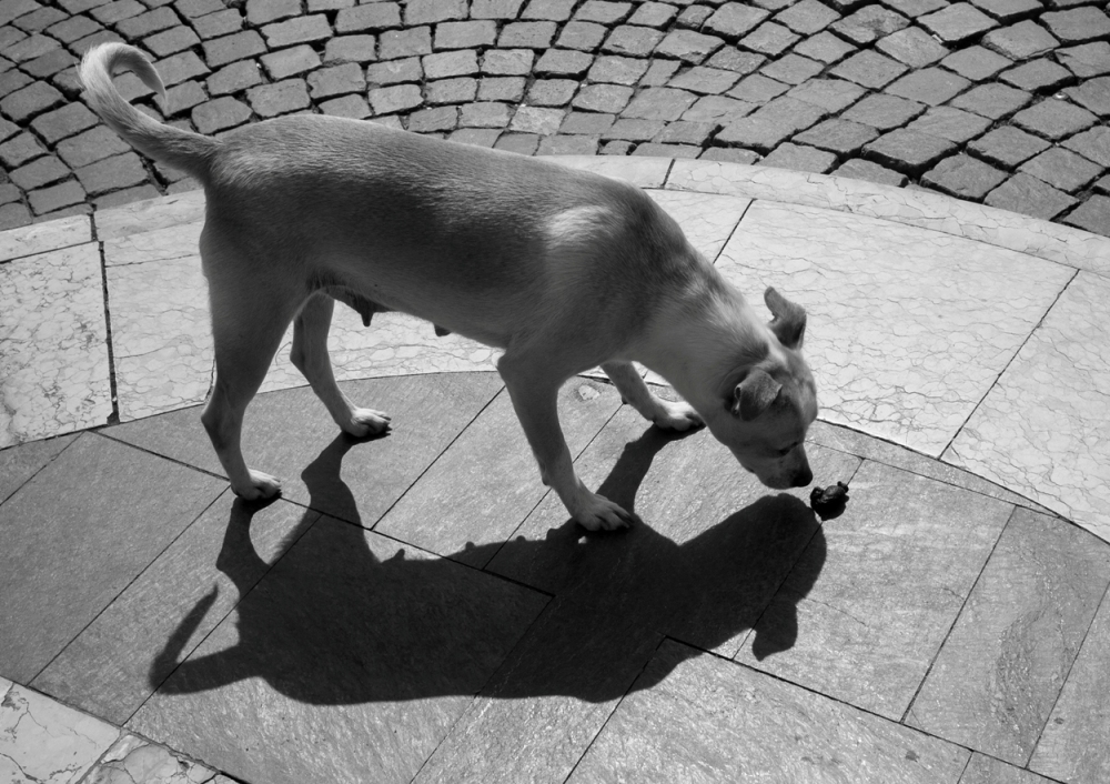 Se ci fosse la luna si potrebbe cantare...