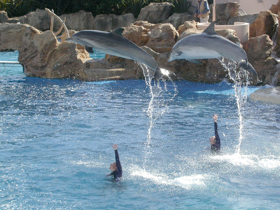 2 oggetti non identificati...ufo?