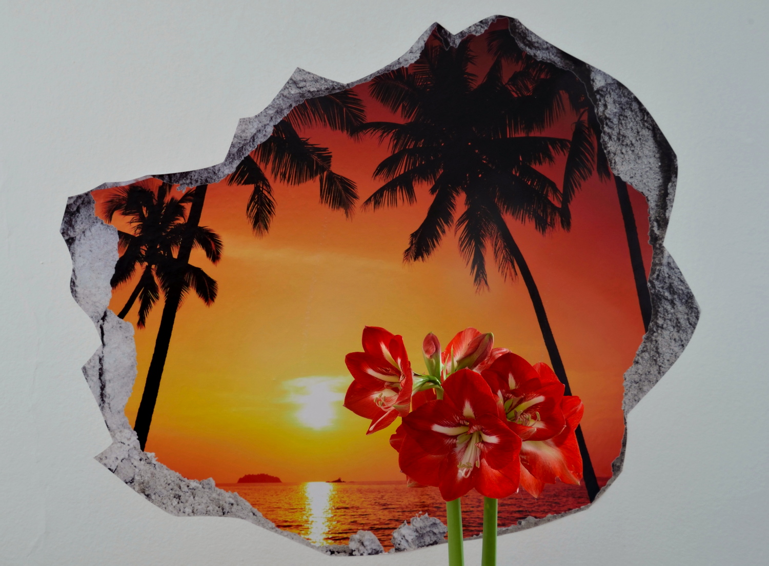 Amarillis il ritorno