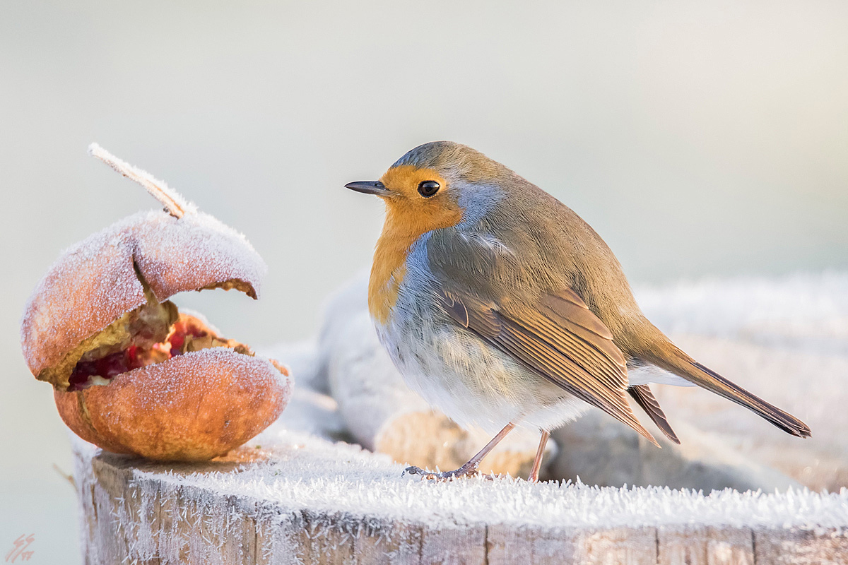 ..sono pi� grosso di te!!..