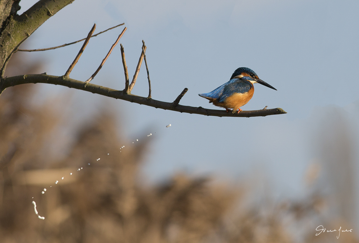 Anche lui ha i suoi bisogni