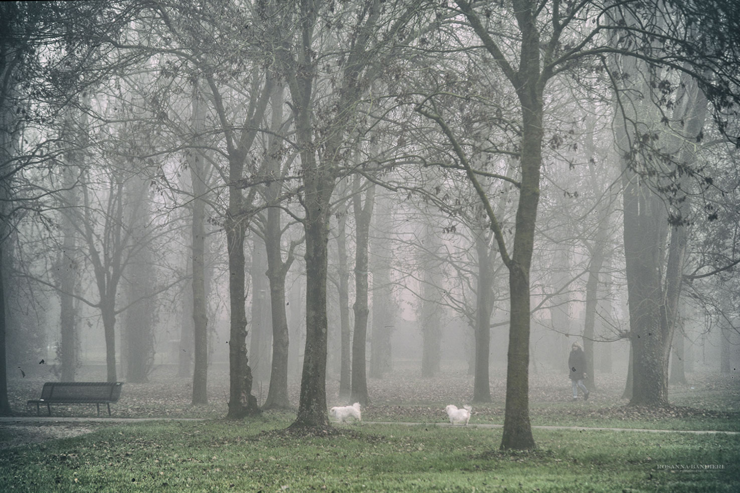 Con le amiche al parco