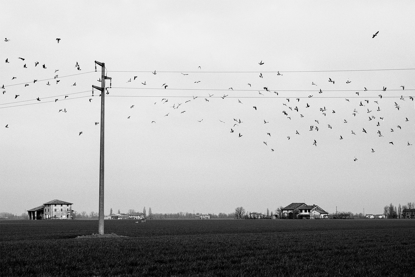 Like a drunk in a midnight choir. I have tried in my way to be free.