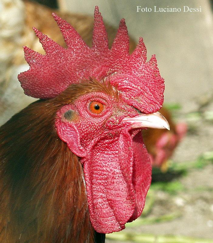 Io non mi faccio influenzare!