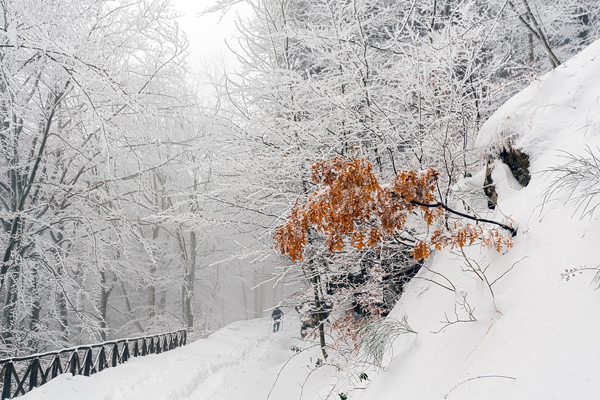 silenzio e solitudine