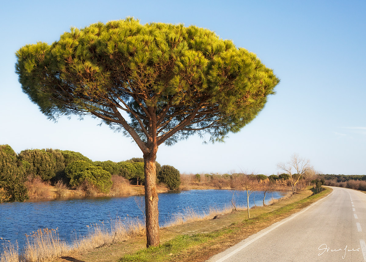 Valle Bertuzzi - Delta del Po