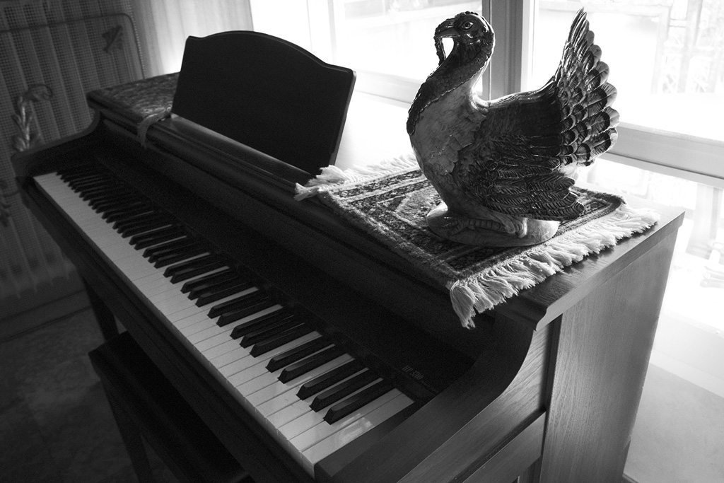 un tacchino al piano