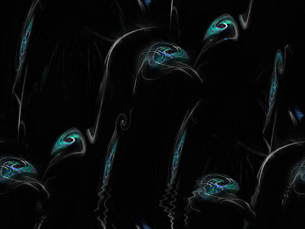 ......sara' primavera