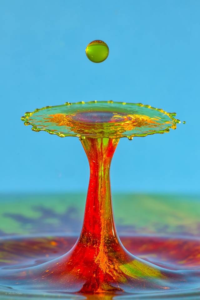 STILL LIFE MINIMONDO