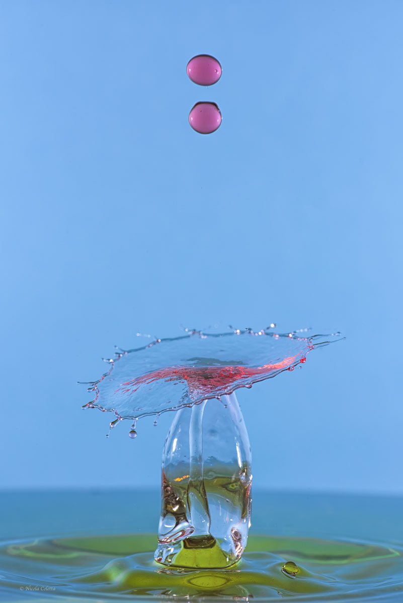 STILL LIFE MINIMONDO