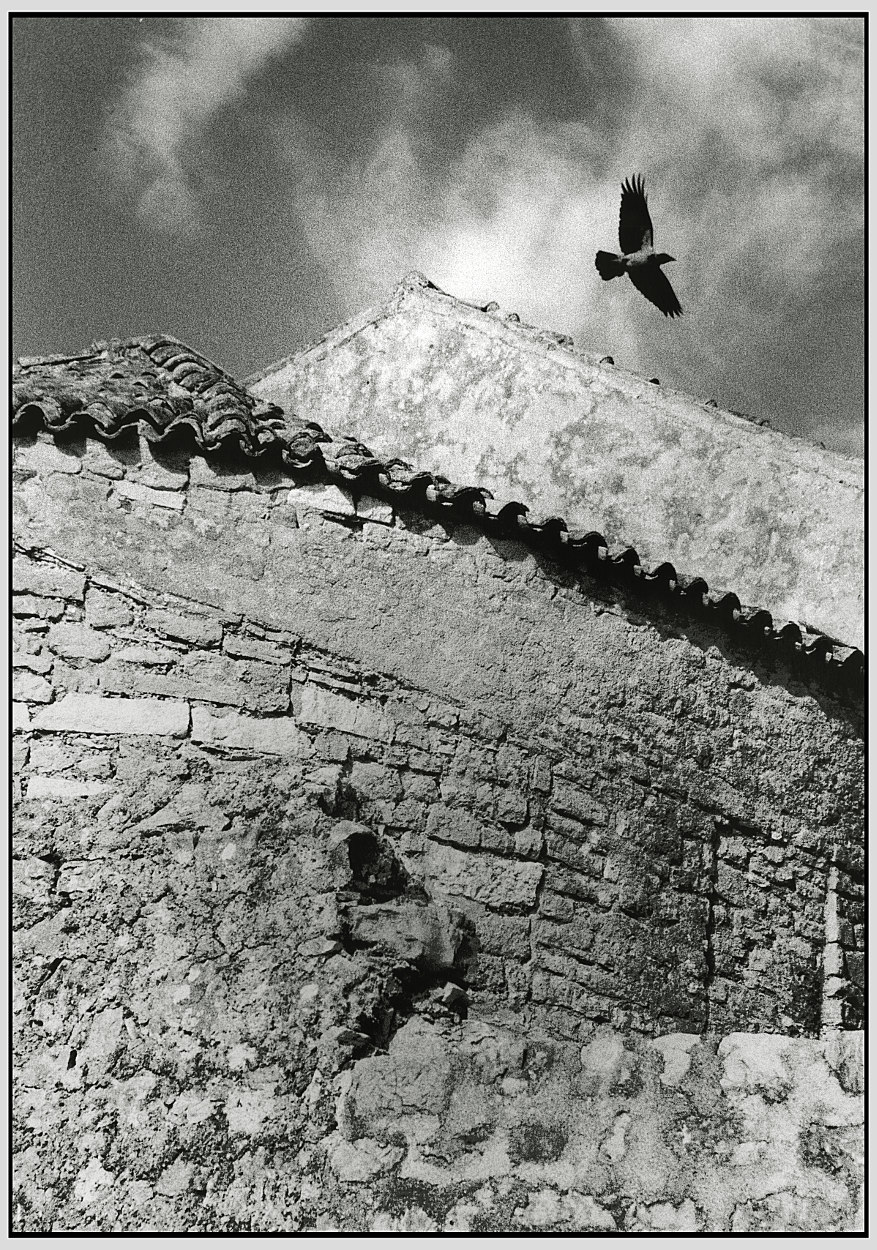 Il volo senza tempo!