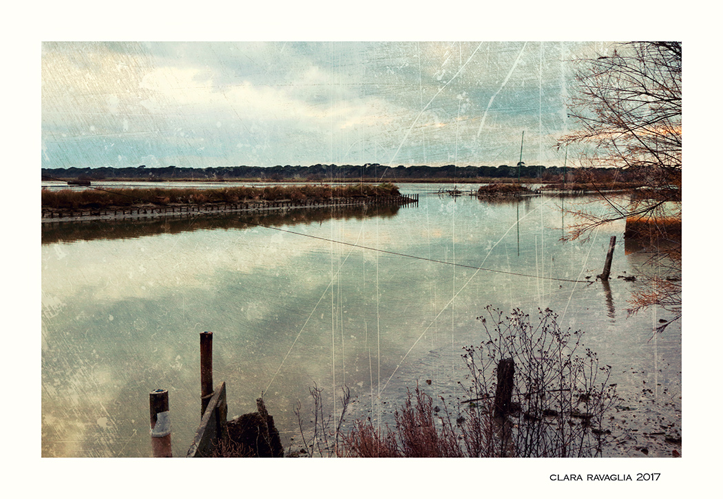 Paradisi... spettinati