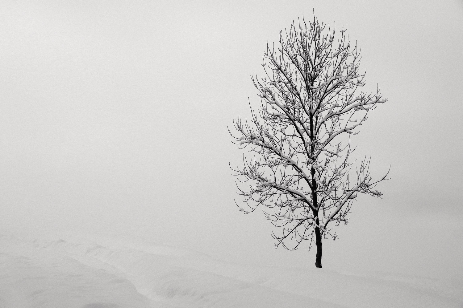 Nel silenzio invernale
