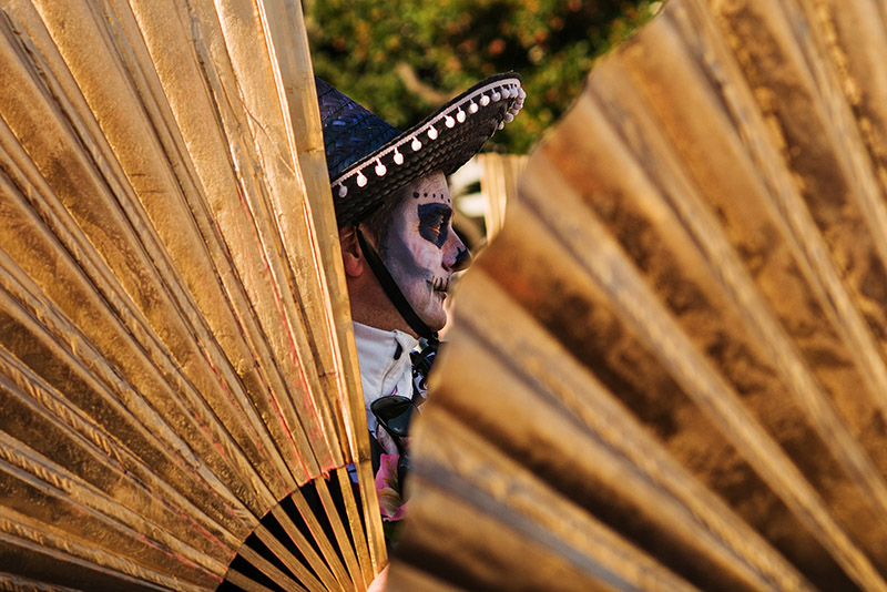 Carnevale Viareggio 2017