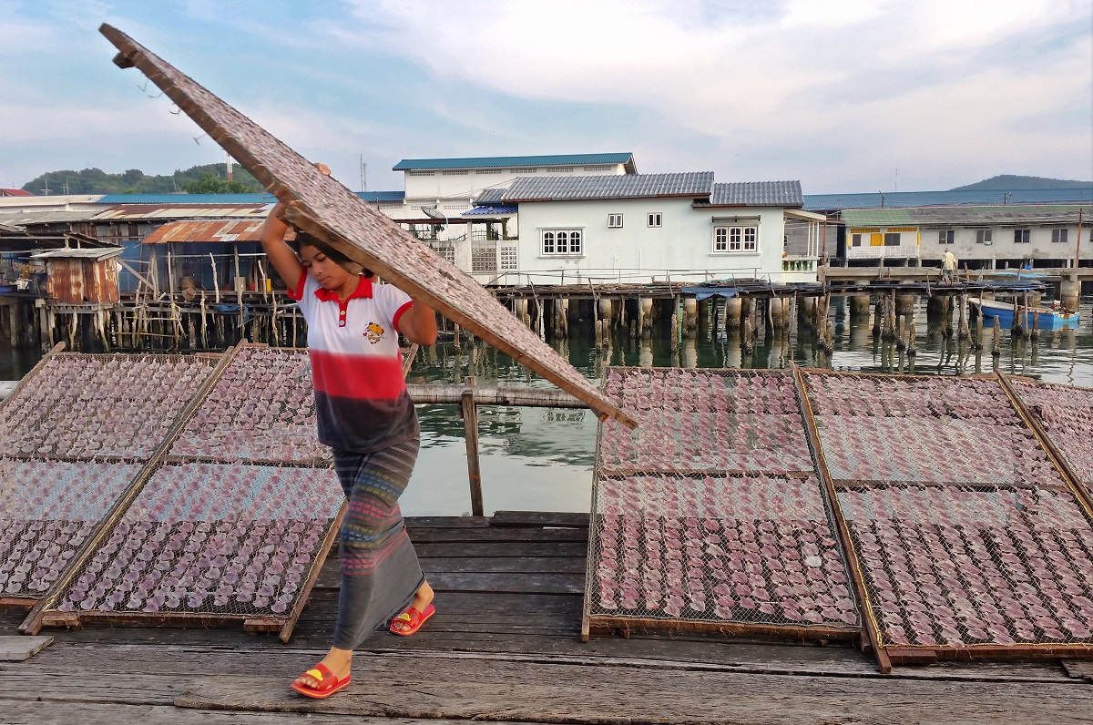 La seppiarola (full frame)