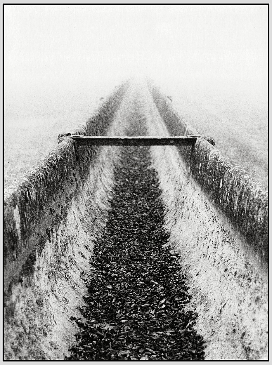 Capire � il limite!