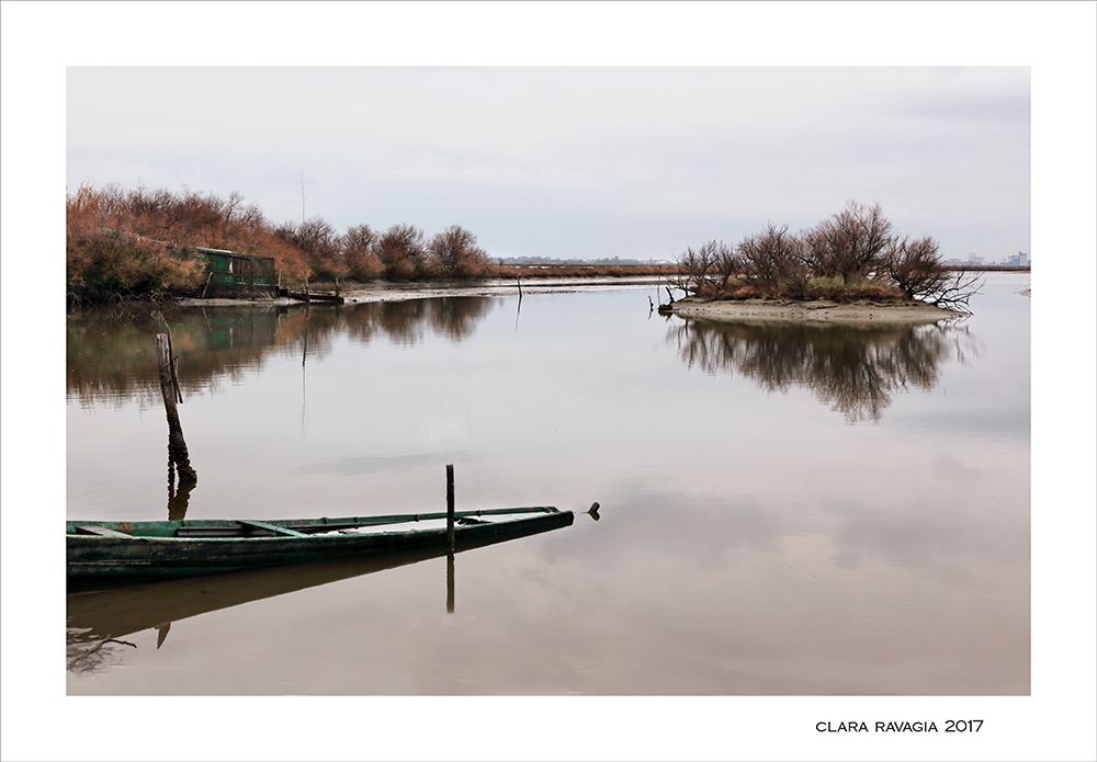 Non si muove una foglia...