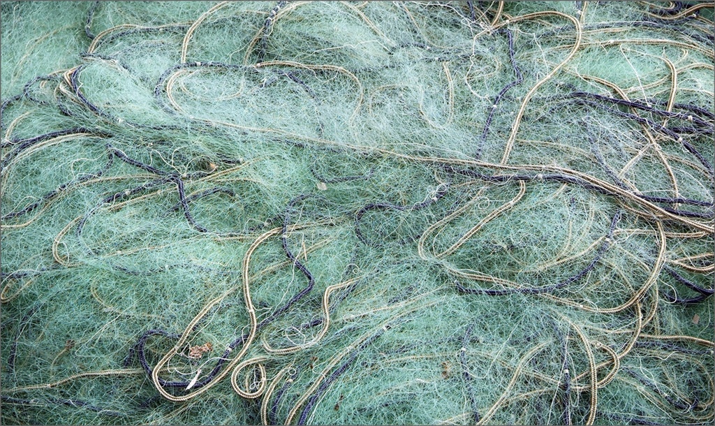 Sapore di mare img.045