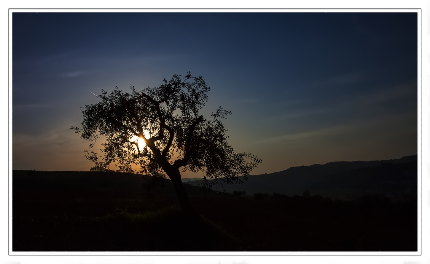 E il mio pensiero vola, ritorna a quella sera.