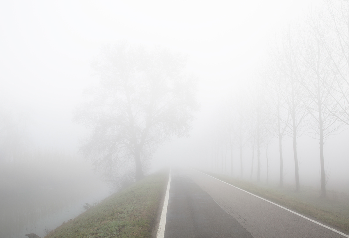 Nebbia nella pianura bolognese