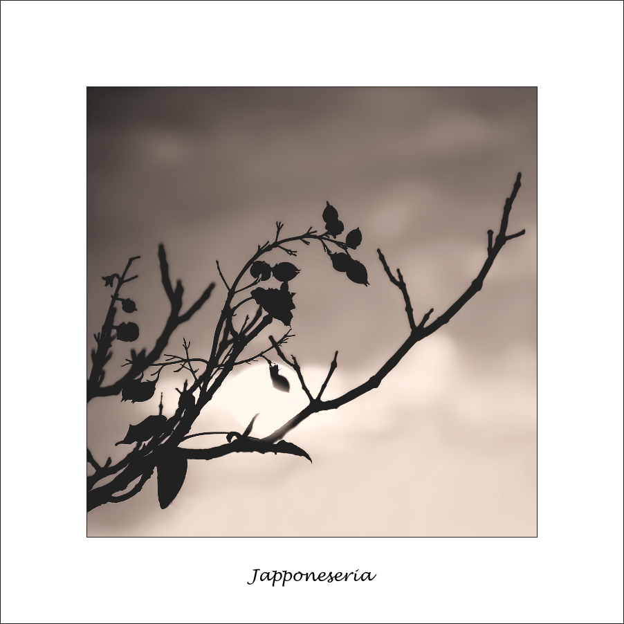 Japponeseria