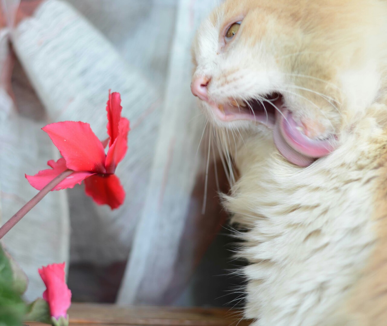 Tutti cantano Sanremo (in ritardo)