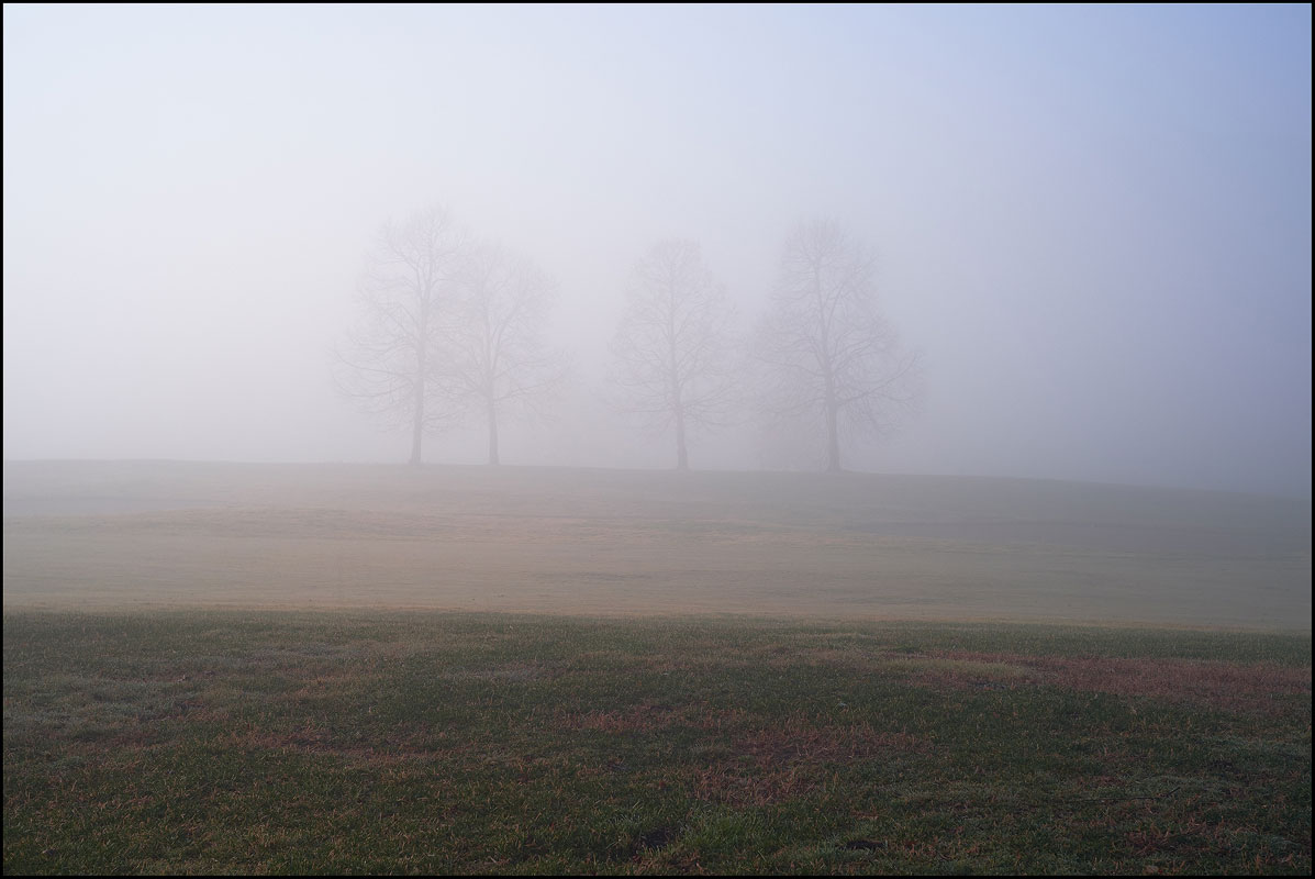 20170218-5352. Galzignano Terme, Valli.