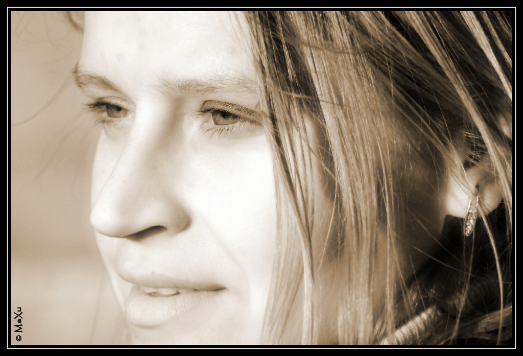 The Model - concentrata -