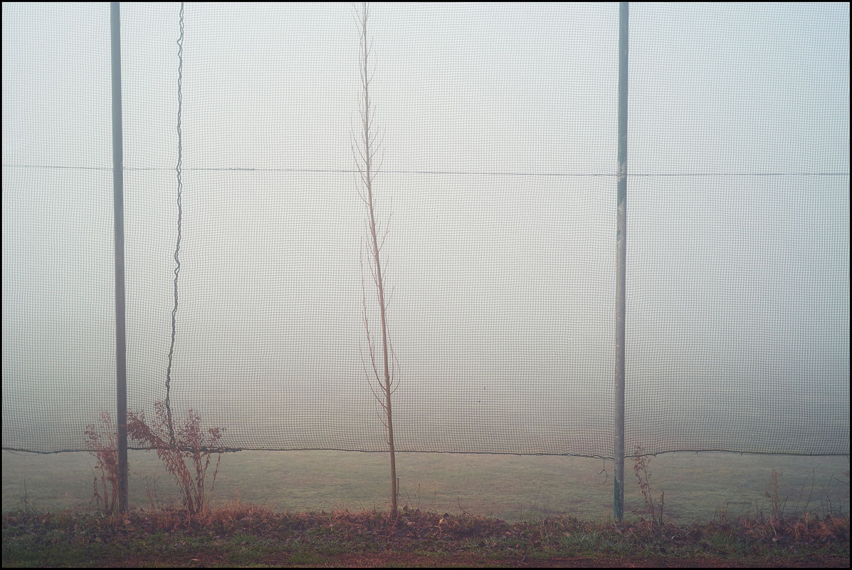 20170218-5332. Galzignano Terme